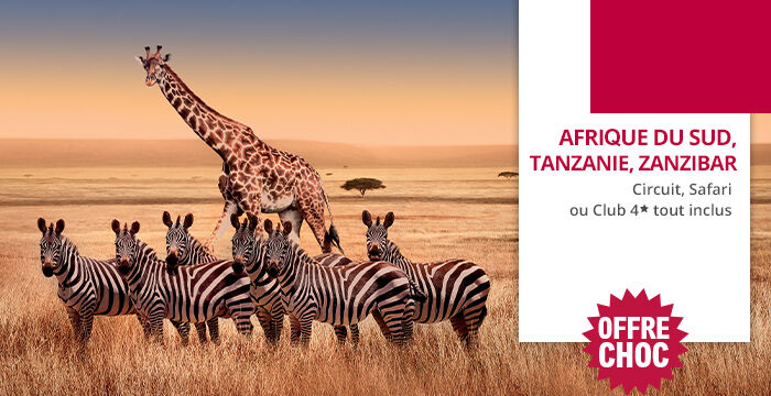 Circuit, safari ou séjour en Afrique du Sud, en Tanzanie ou à Zanzibar - Offre Choc