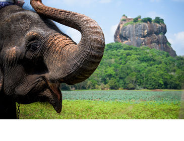 Voyages et vacances au Sri Lanka