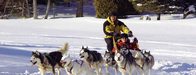 Balade en chiens de traineau dans les neiges canadiennes