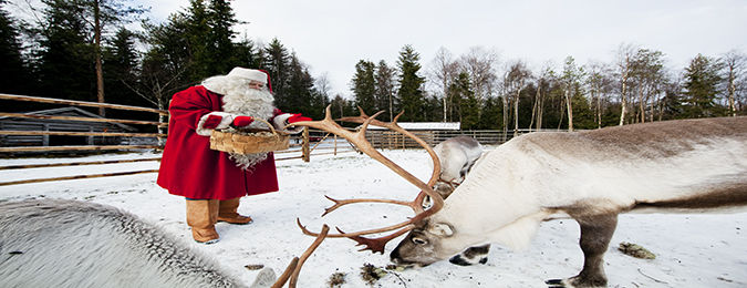 Le Père Noël avec ses rennes en Laponie