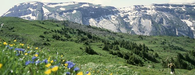 Montagne au printemps dans les Alpes françaises
