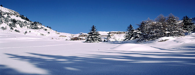 Piste de ski de fond durant l'hiver en Savoie + Mont Blanc