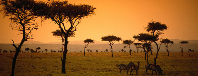La savane au Kenya