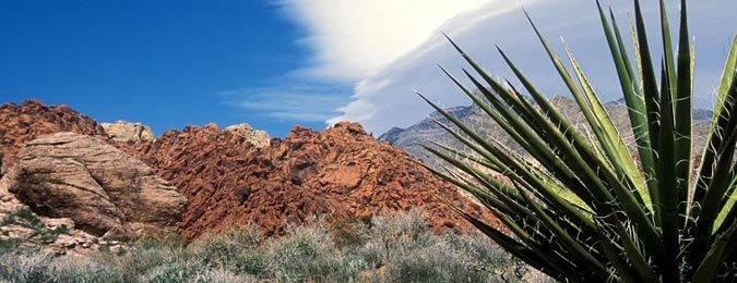 Le désert du Nevada à proximité de Las Vegas