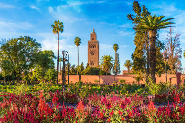 Maroc - Marrakech - Week-end à Marrakech